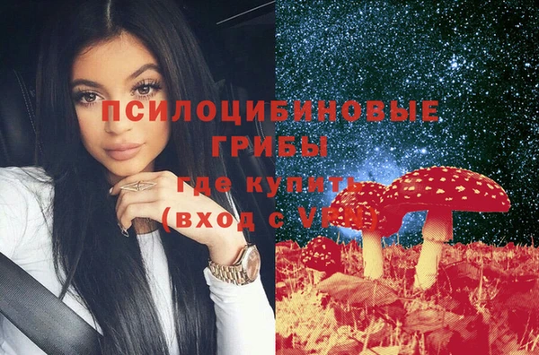 прущие грибы Лагань