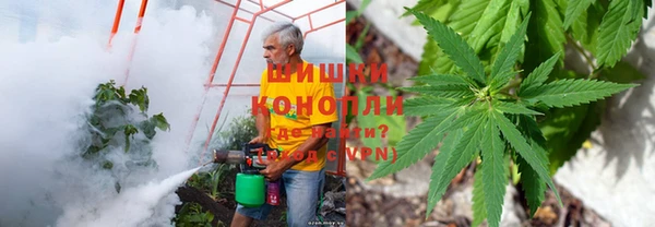 прущие грибы Лагань