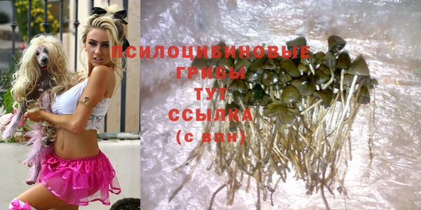 прущие грибы Лагань