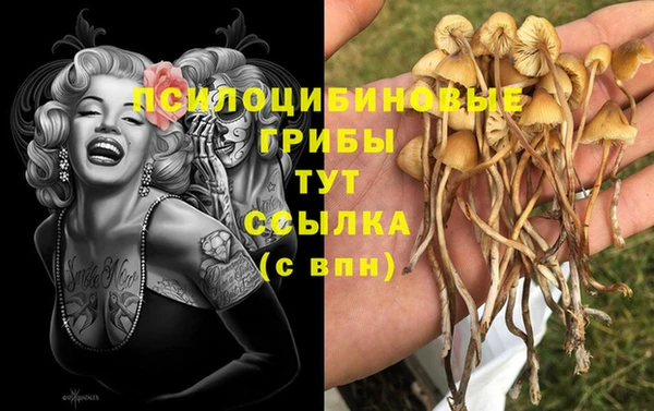 гашик Лиски