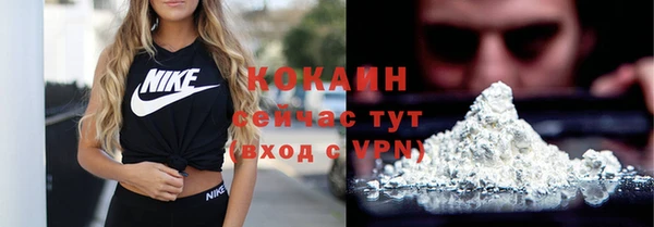 прущие грибы Лагань