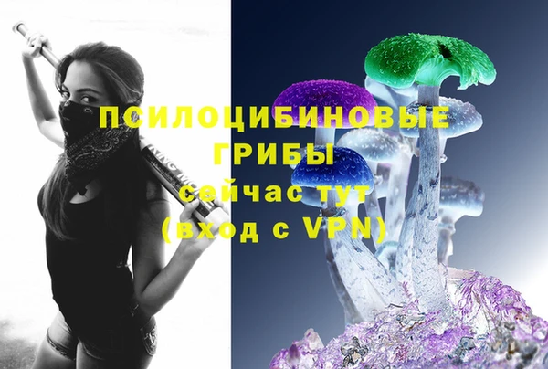 прущие грибы Лагань