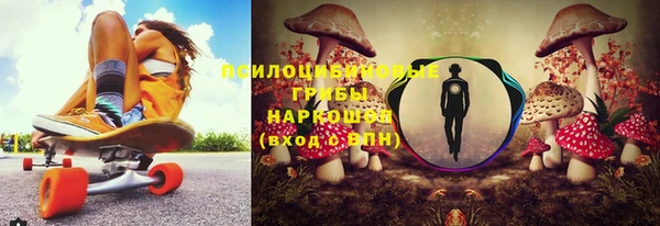ешки Ладушкин
