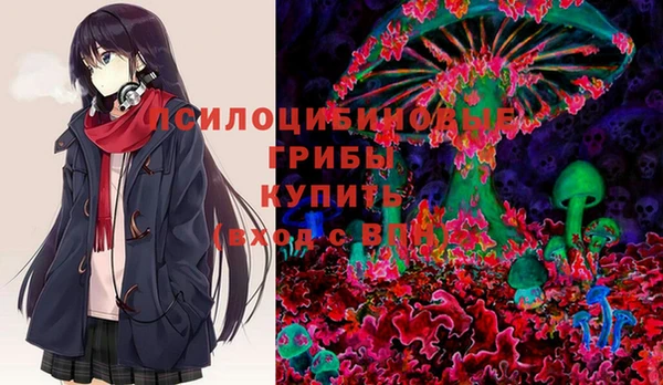 гашик Лиски