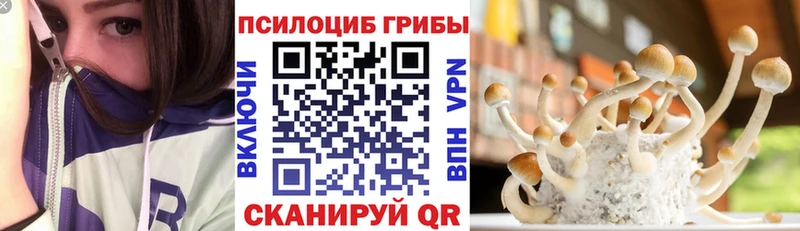 Псилоцибиновые грибы мицелий  Купить закладки  Вихоревка 